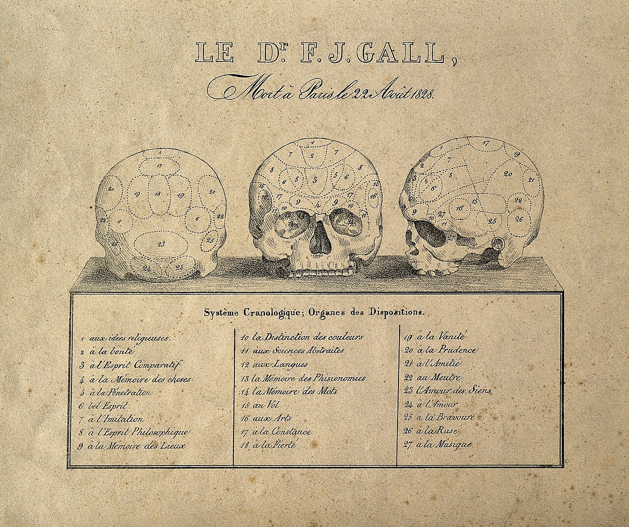 Franz Joseph Gall